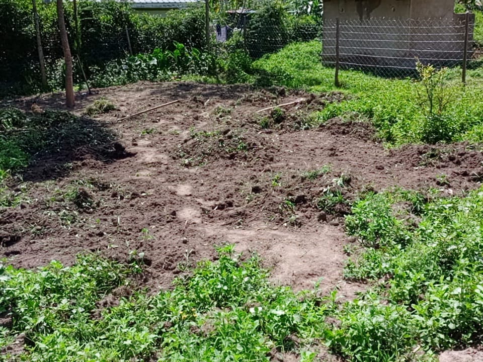CSAWE project photo 1: Land preparation & site selection